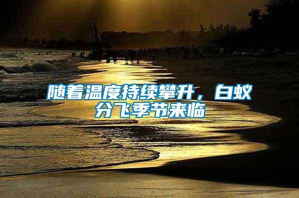 隨著溫度持續攀升，白蟻分飛季節來臨