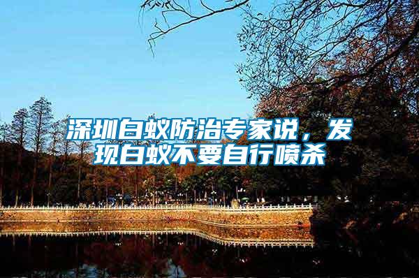 深圳白蟻防治專家說，發現白蟻不要自行噴殺