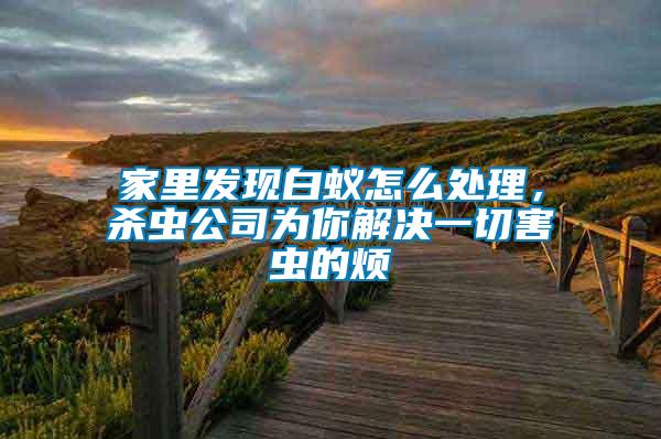 家里發現白蟻怎么處理，殺蟲公司為你解決一切害蟲的煩
