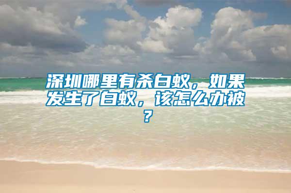 深圳哪里有殺白蟻，如果發(fā)生了白蟻，該怎么辦被？