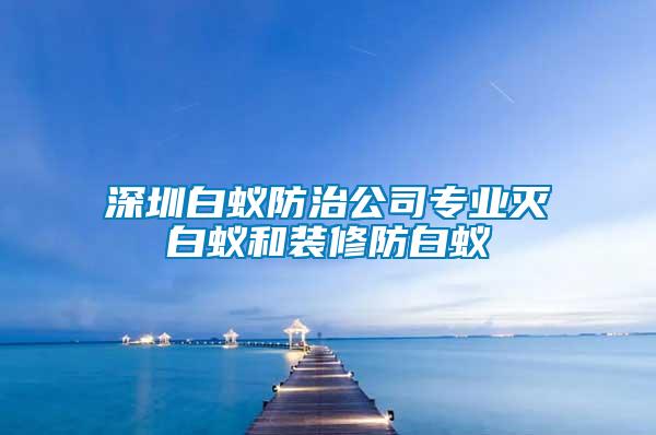 深圳白蟻防治公司專業滅白蟻和裝修防白蟻