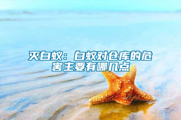 滅白蟻：白蟻對倉庫的危害主要有哪幾點
