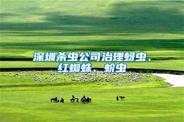 深圳殺蟲公司治理蚜蟲、紅蜘蛛、蚧蟲