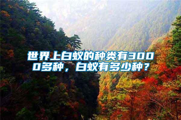 世界上白蟻的種類有3000多種，白蟻有多少種？