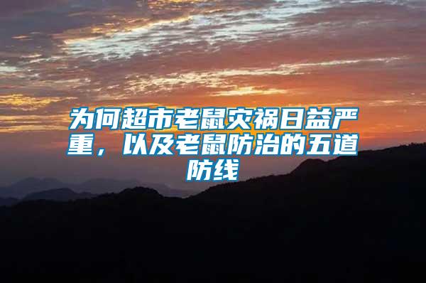 為何超市老鼠災禍日益嚴重，以及老鼠防治的五道防線
