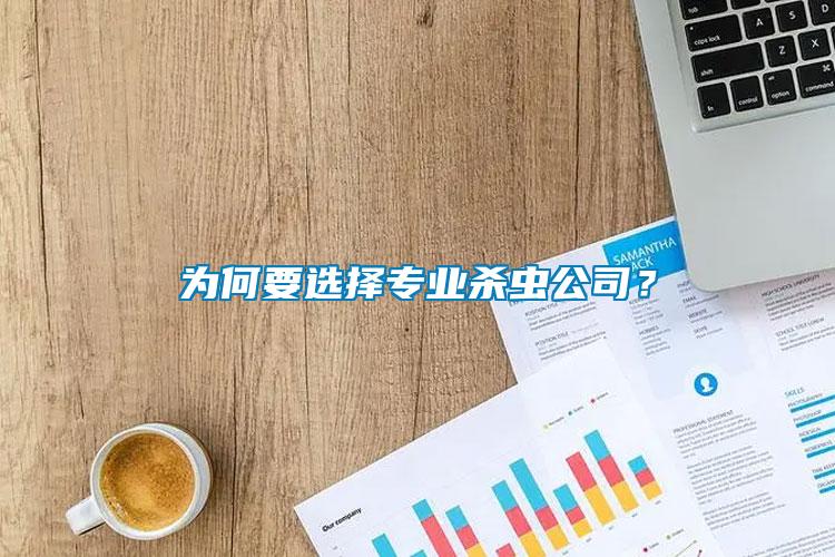 為何要選擇專業殺蟲公司？