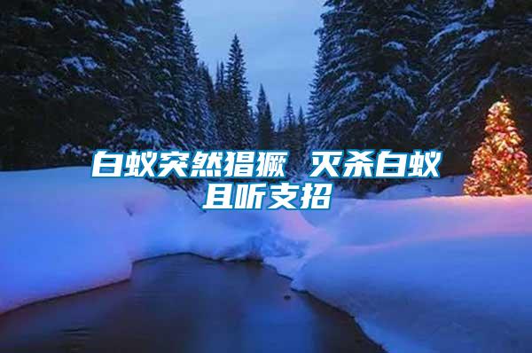 白蟻突然猖獗 滅殺白蟻且聽(tīng)支招