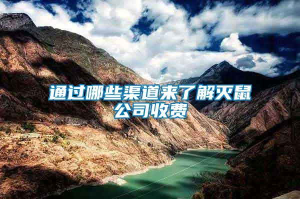通過哪些渠道來了解滅鼠公司收費(fèi)