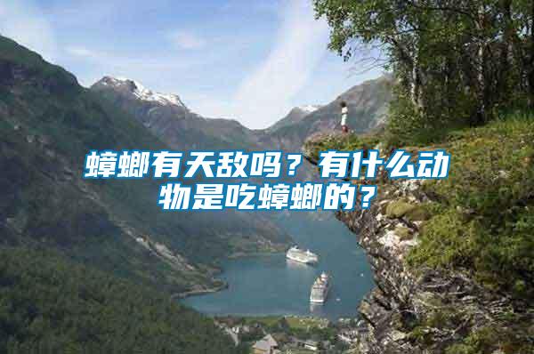蟑螂有天敵嗎？有什么動物是吃蟑螂的？