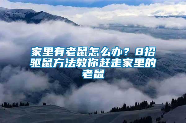 家里有老鼠怎么辦？8招驅鼠方法教你趕走家里的老鼠