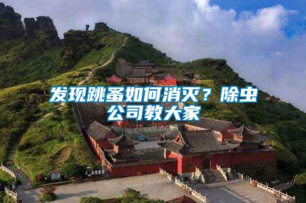 發(fā)現(xiàn)跳蚤如何消滅？除蟲(chóng)公司教大家