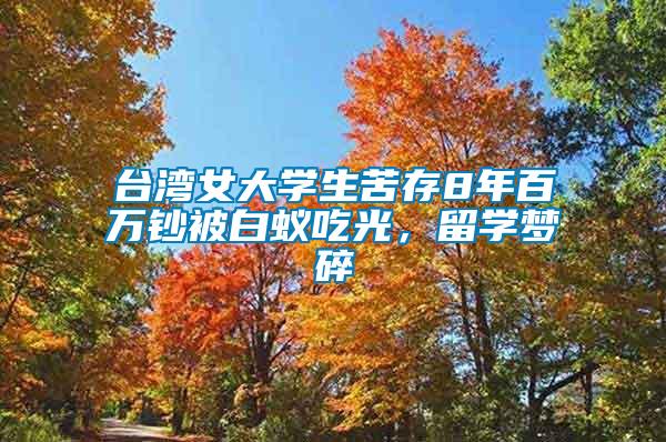 臺灣女大學(xué)生苦存8年百萬鈔被白蟻吃光，留學(xué)夢碎