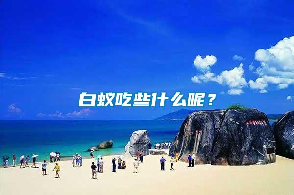 白蟻吃些什么呢？