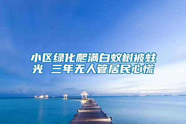 小區(qū)綠化爬滿白蟻樹(shù)被蛀光 三年無(wú)人管居民心慌
