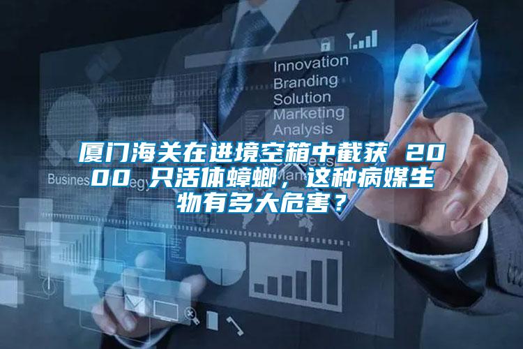 廈門海關在進境空箱中截獲 2000 只活體蟑螂，這種病媒生物有多大危害？