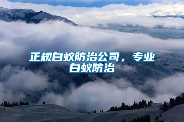 正規白蟻防治公司，專業白蟻防治