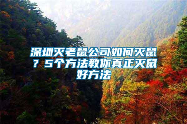 深圳滅老鼠公司如何滅鼠？5個方法教你真正滅鼠好方法