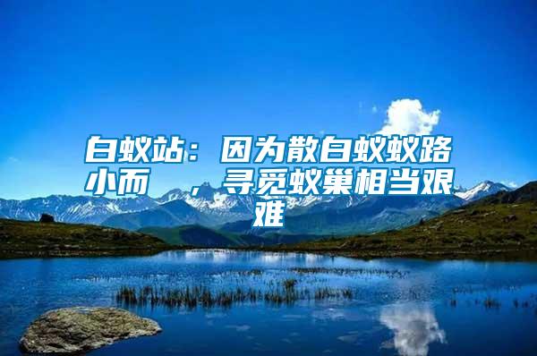 白蟻站：因?yàn)樯紫佅伮沸《]骳，尋覓蟻巢相當(dāng)艱難