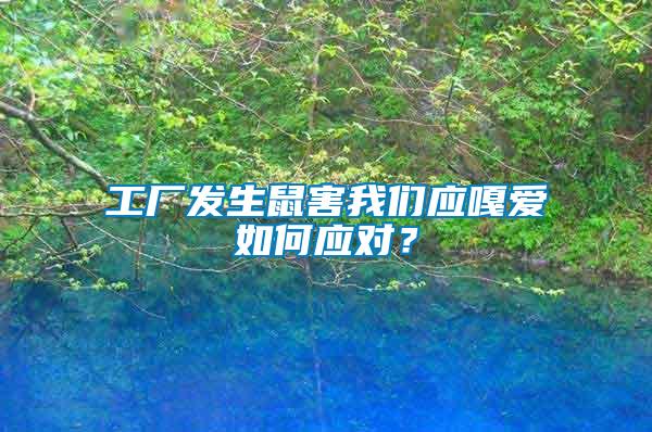 工廠發生鼠害我們應嘎愛如何應對？
