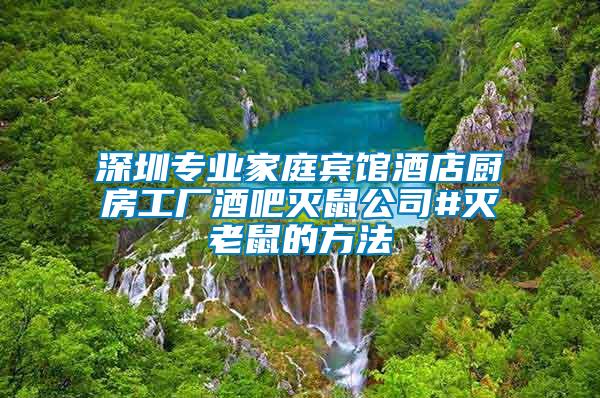 深圳專業家庭賓館酒店廚房工廠酒吧滅鼠公司#滅老鼠的方法