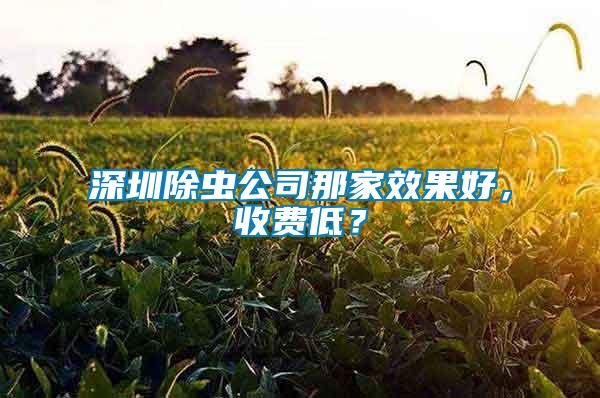 深圳除蟲公司那家效果好，收費低？
