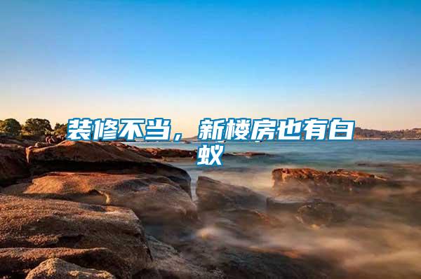裝修不當，新樓房也有白蟻