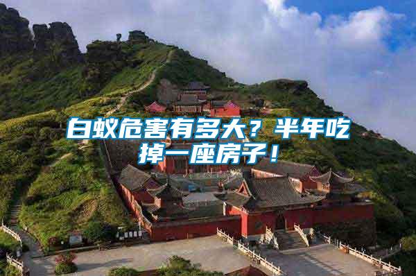 白蟻危害有多大？半年吃掉一座房子！