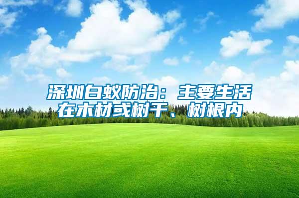 深圳白蟻防治：主要生活在木材或樹干、樹根內(nèi)
