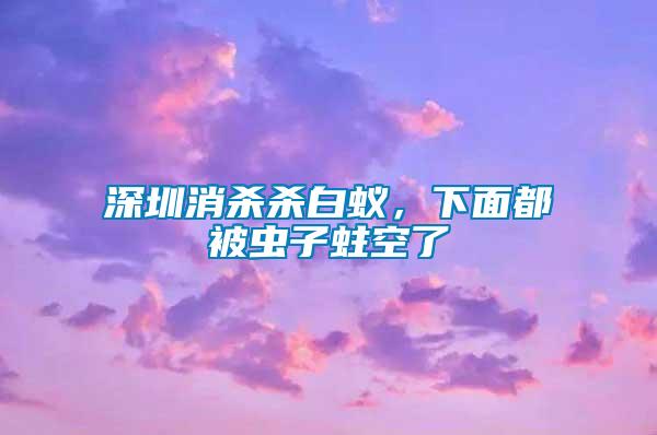 深圳消殺殺白蟻，下面都被蟲子蛀空了