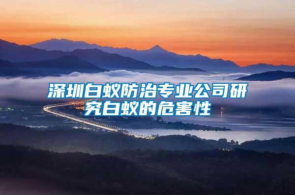 深圳白蟻防治專業公司研究白蟻的危害性