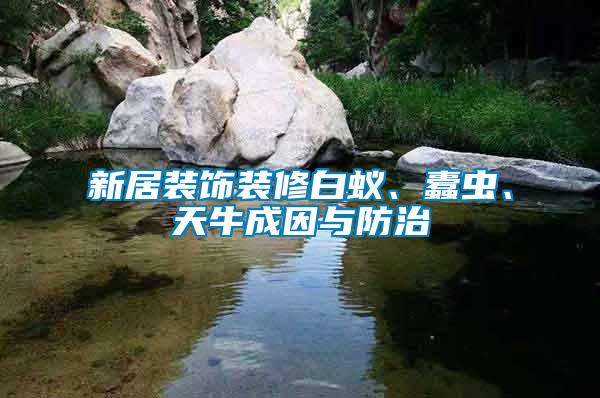新居裝飾裝修白蟻、蠹蟲、天牛成因與防治