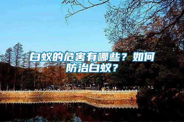 白蟻的危害有哪些？如何防治白蟻？
