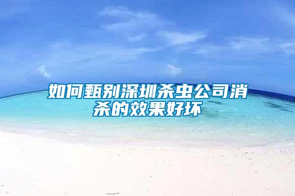 如何甄別深圳殺蟲公司消殺的效果好壞