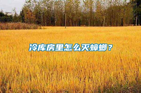 冷庫房里怎么滅蟑螂？