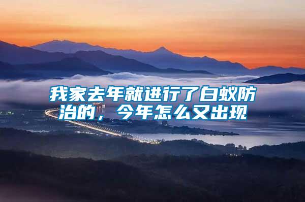 我家去年就進行了白蟻防治的，今年怎么又出現