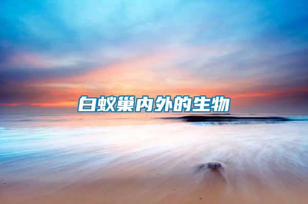 白蟻巢內外的生物