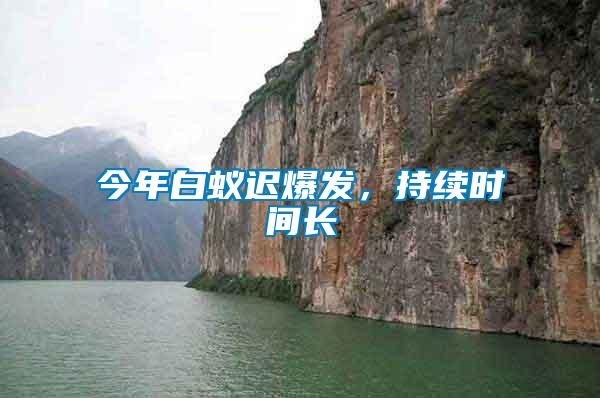 今年白蟻遲爆發，持續時間長