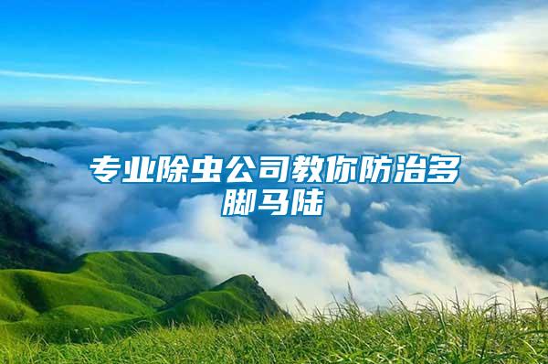 專(zhuān)業(yè)除蟲(chóng)公司教你防治多腳馬陸