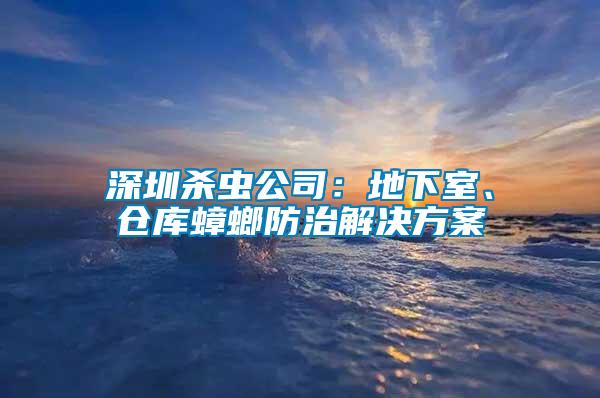 深圳殺蟲公司：地下室、倉庫蟑螂防治解決方案