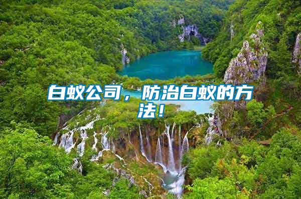 白蟻公司，防治白蟻的方法！