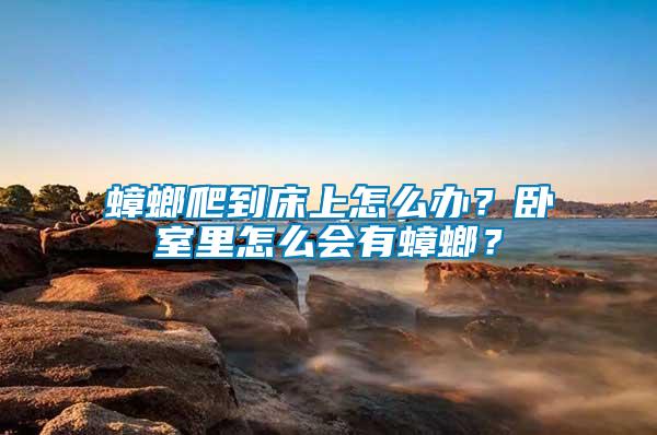 蟑螂爬到床上怎么辦？臥室里怎么會有蟑螂？