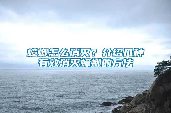 蟑螂怎么消滅？介紹幾種有效消滅蟑螂的方法
