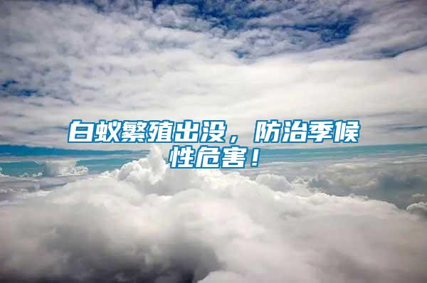 白蟻繁殖出沒，防治季候性危害！