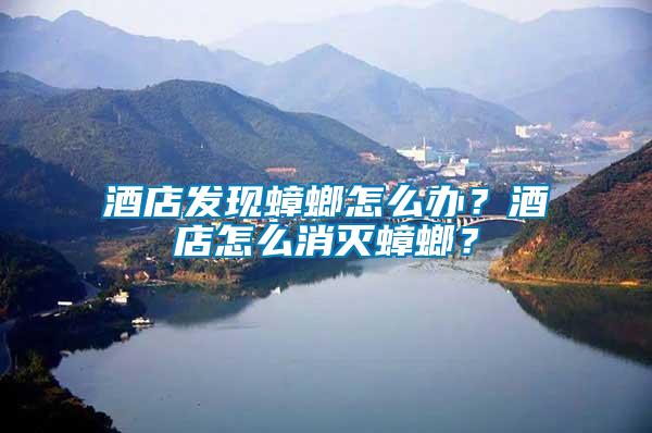酒店發(fā)現(xiàn)蟑螂怎么辦？酒店怎么消滅蟑螂？