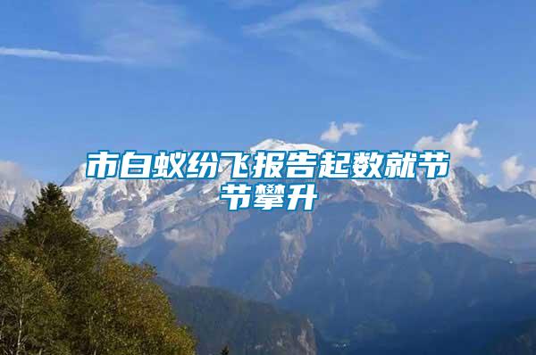 市白蟻紛飛報告起數就節(jié)節(jié)攀升