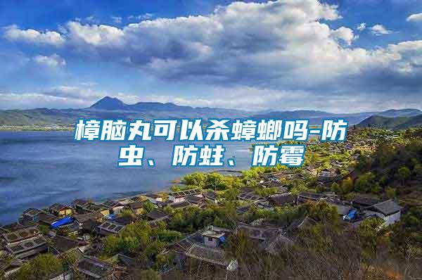 樟腦丸可以殺蟑螂嗎-防蟲、防蛀、防霉