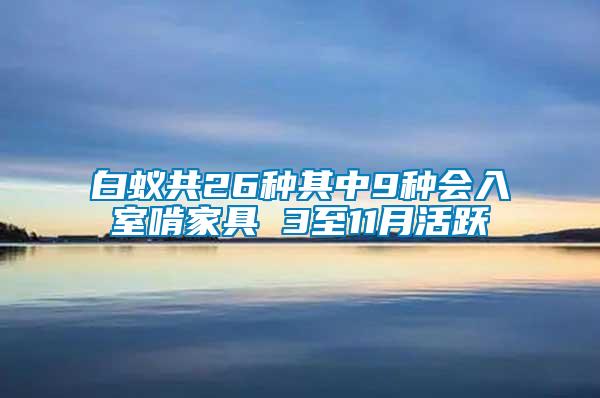 白蟻共26種其中9種會(huì)入室啃家具 3至11月活躍
