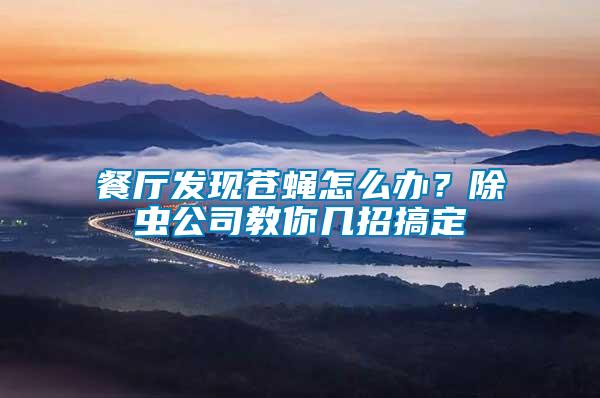 餐廳發(fā)現(xiàn)蒼蠅怎么辦？除蟲公司教你幾招搞定
