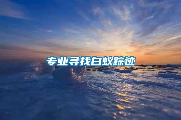 專業尋找白蟻蹤跡