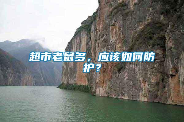 超市老鼠多，應該如何防護？